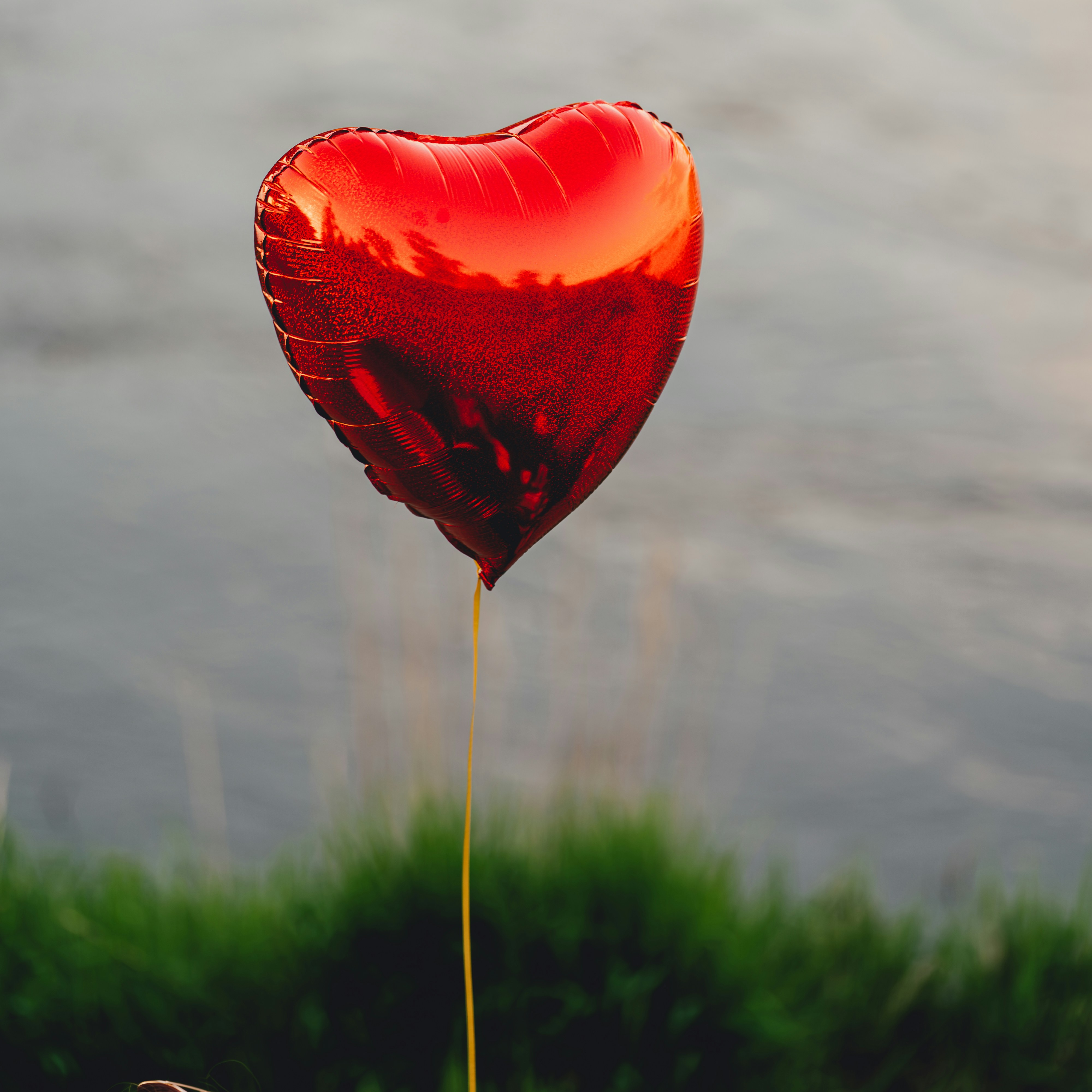damian-gola-Kok-lCNVxbE-unsplash